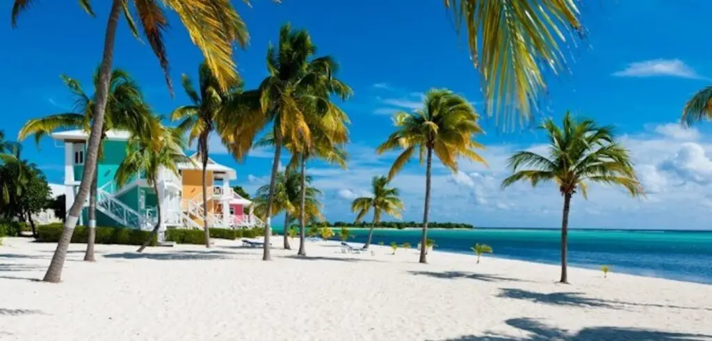Cayman Islands Beach view with palm trees