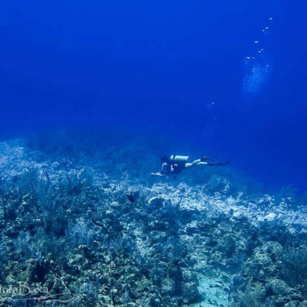 Diver reefs