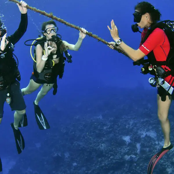 Scuba diving instructor with 2 divers