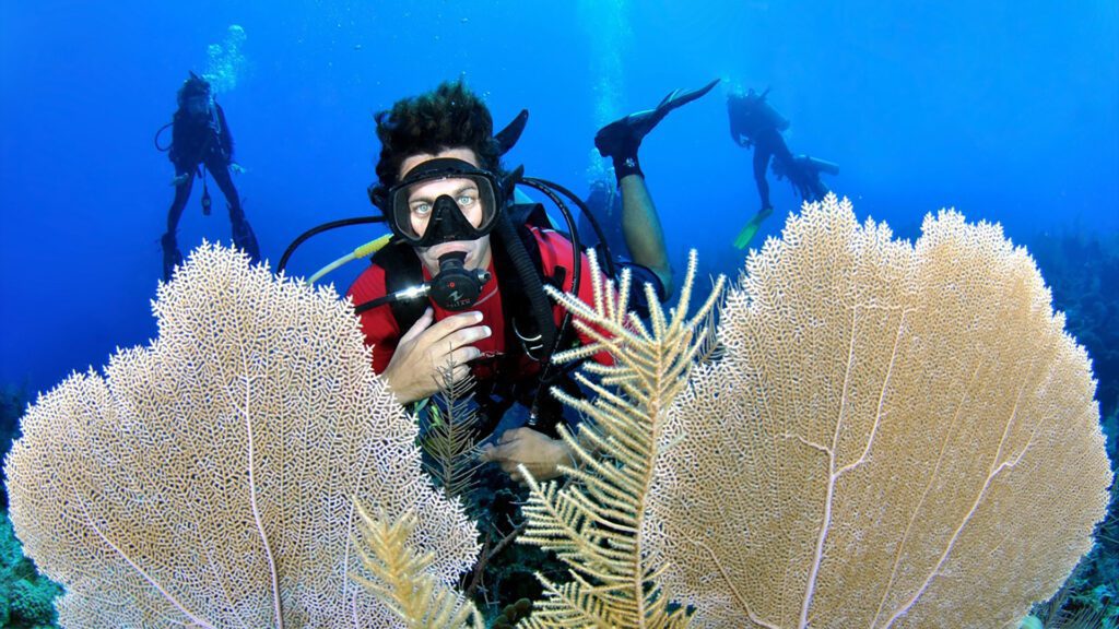 Divers enjoying the coral reefs at the cayman islands