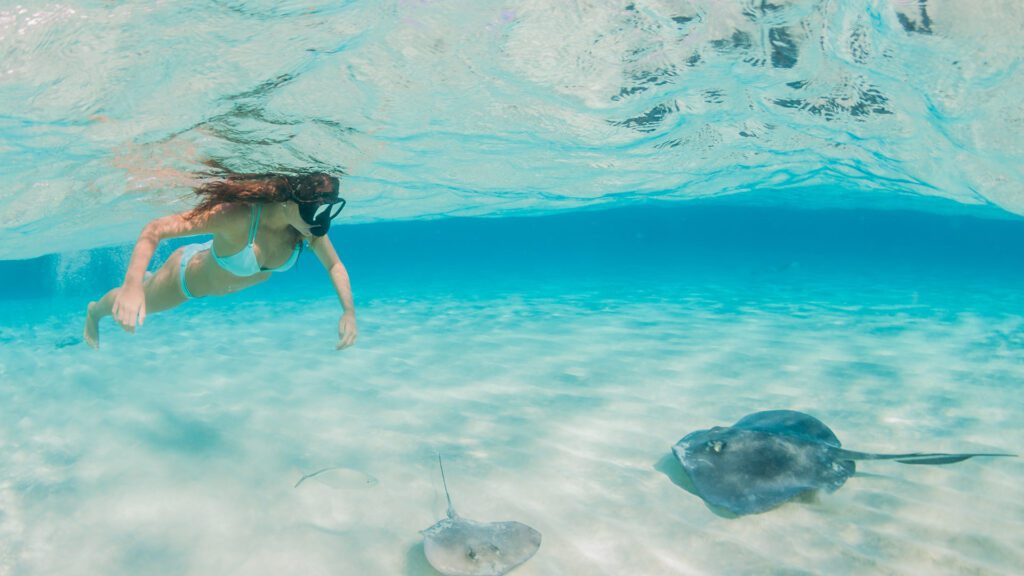 woman snorkelling with stingray
