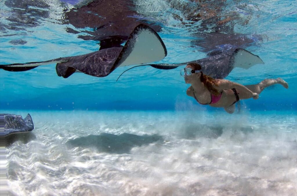 Swimming with Stingray in Stingray City Grand Cayman with Red Sail Sports
