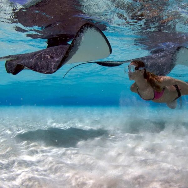 Swimming with Stingray in Stingray City Grand Cayman with Red Sail Sports