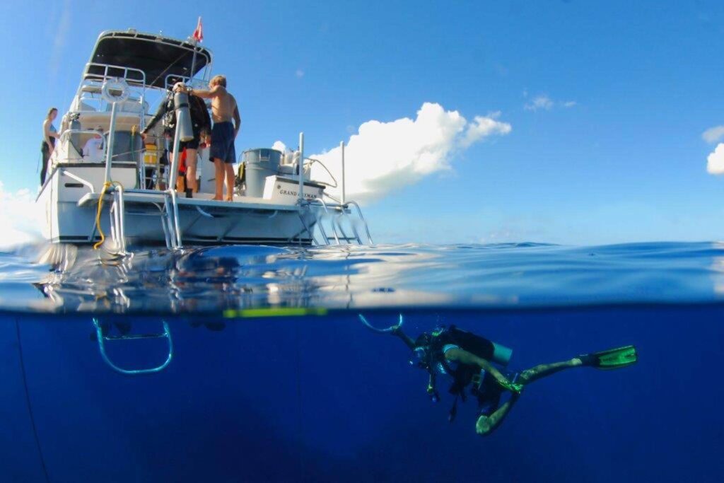 diving boat with divers