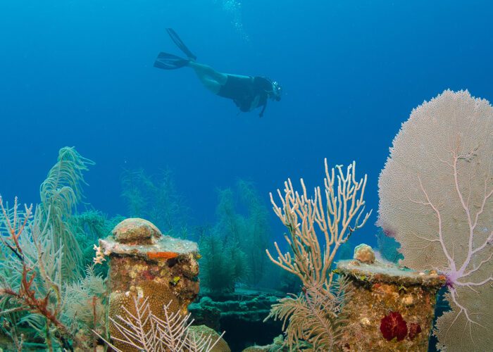 diving in cayman islands