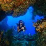 Diving in cave in Cayman Islands