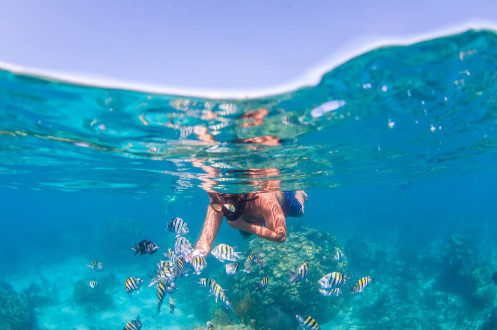 man snorkelling in cayman islands