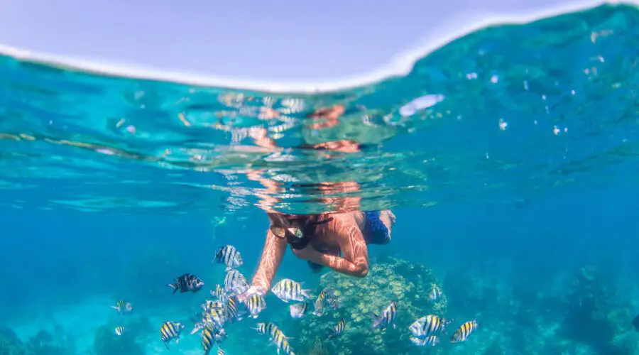 man snorkelling in cayman islands